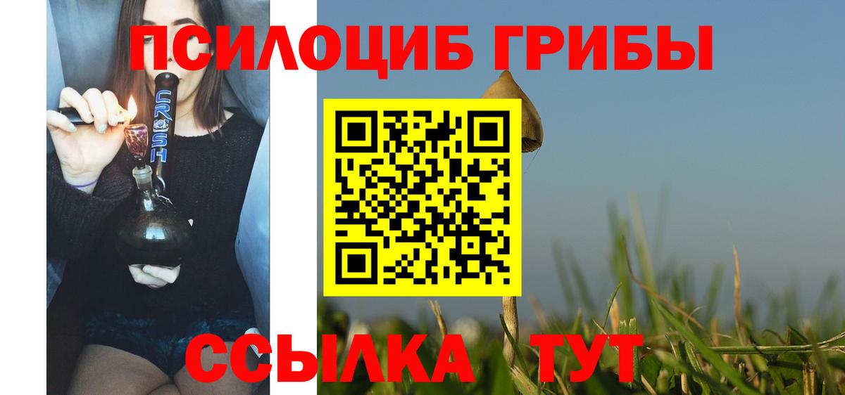 Псилоцибиновые грибы Psilocybe  Вход с VPN  Псилоцибиновые грибы ЛСД  Балашов 